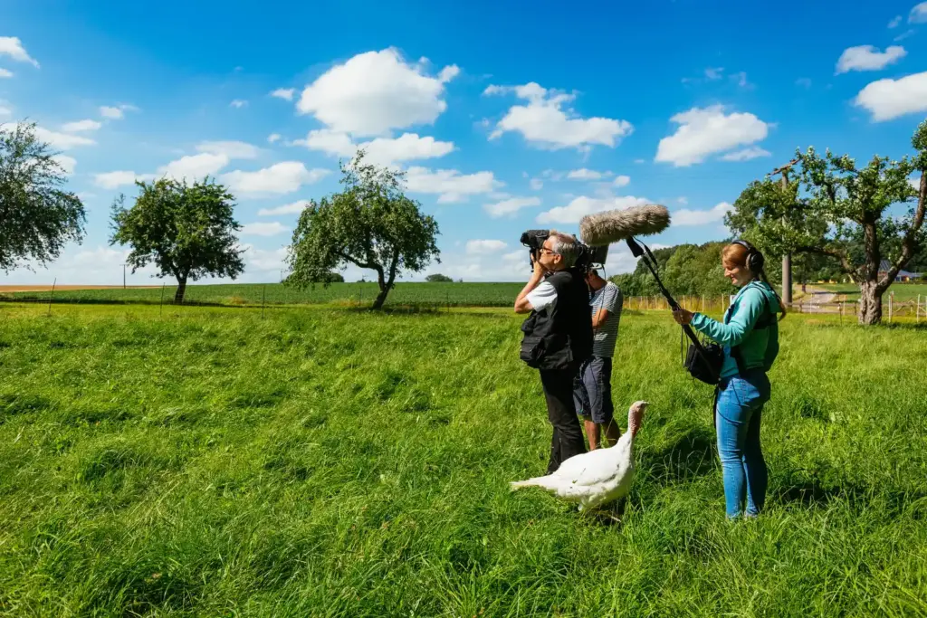 Sternhof Weikersholz Lecker aufs Land